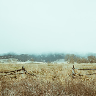 Dry Fields