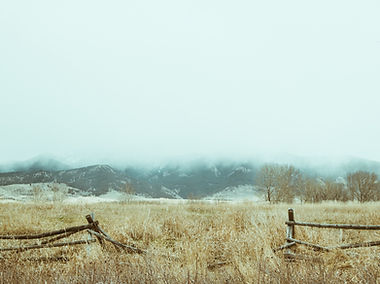 Dry Fields
