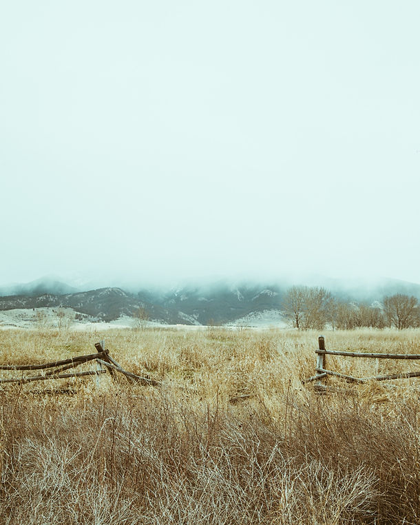Dry Fields
