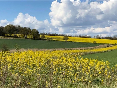 WOODOAKS FARM