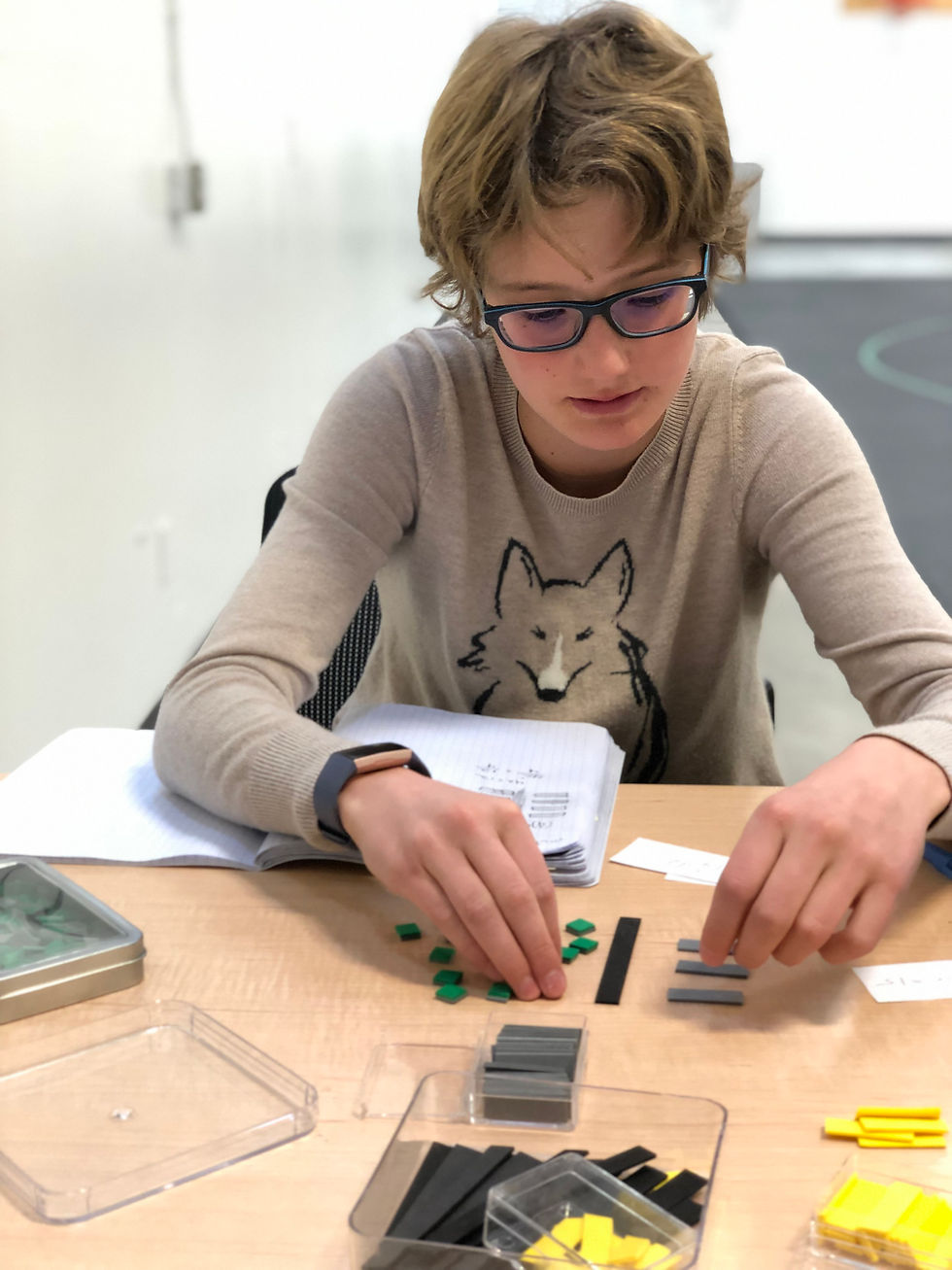 beautiful Montessori materials