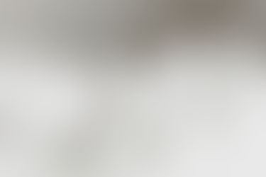 Public Notice on the 2025 Cosmetic Standards Project Plan