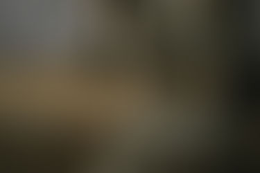 the "Bovine Corneal Turbidity and Permeability Test Method," the "In Vitro Skin Allergy Kinetic Direct Peptide Reaction Test Method," the "In Vitro Skin Absorption Test Method," the "Immunotoxicity Test Method," and the "Oral Mucosal Irritation Test Method," have been reviewed and approved and are now published and incorporated into the corresponding sections of the "Cosmetics Safety Technical Specifications (2015 Edition)"