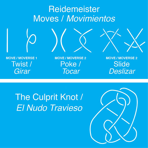 Reidemeister Moves