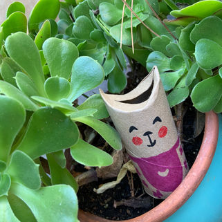 chat dans les plantes