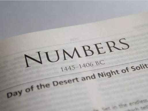 Numbers 5 ✒️ Purity in the Church