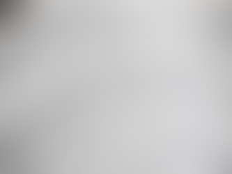 Leviticus 27 ✒️ Honesty