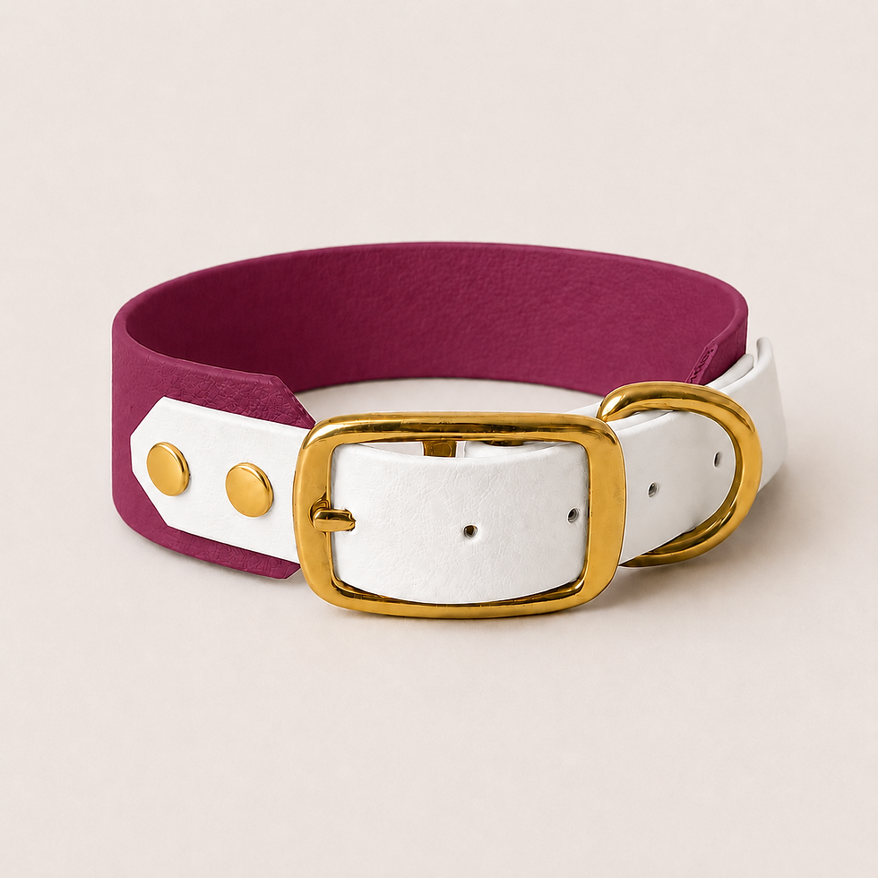 Miniature : COLLIER AUDACIEUX AUBERGINE