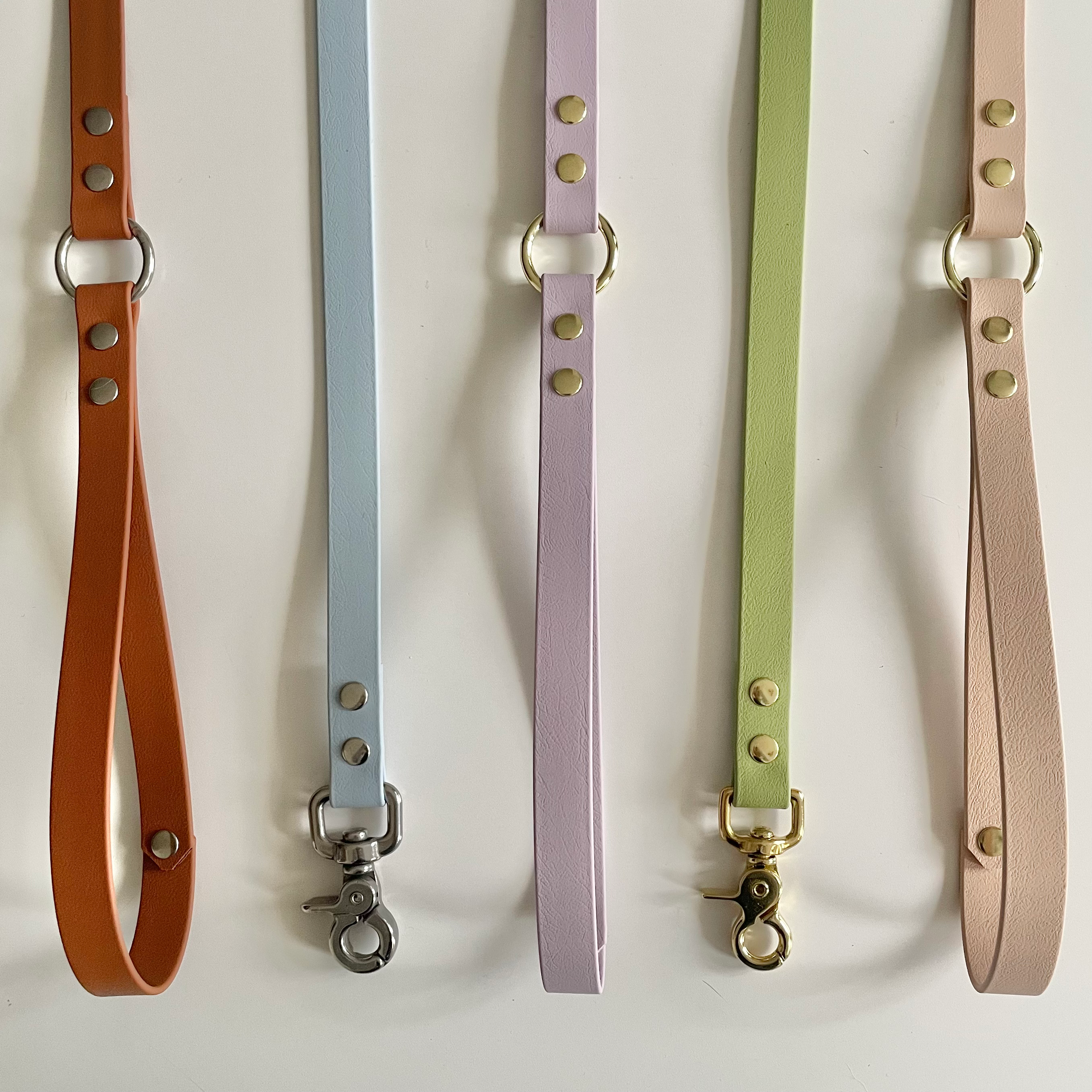 Laisse biothane simple