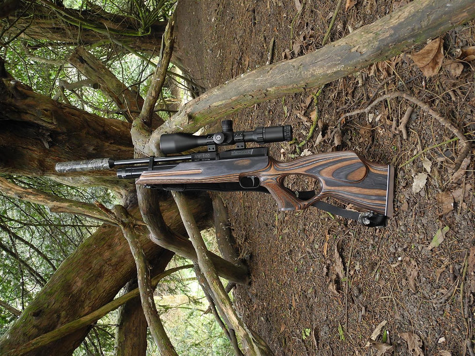 HW100KT Laminate .20.JPG