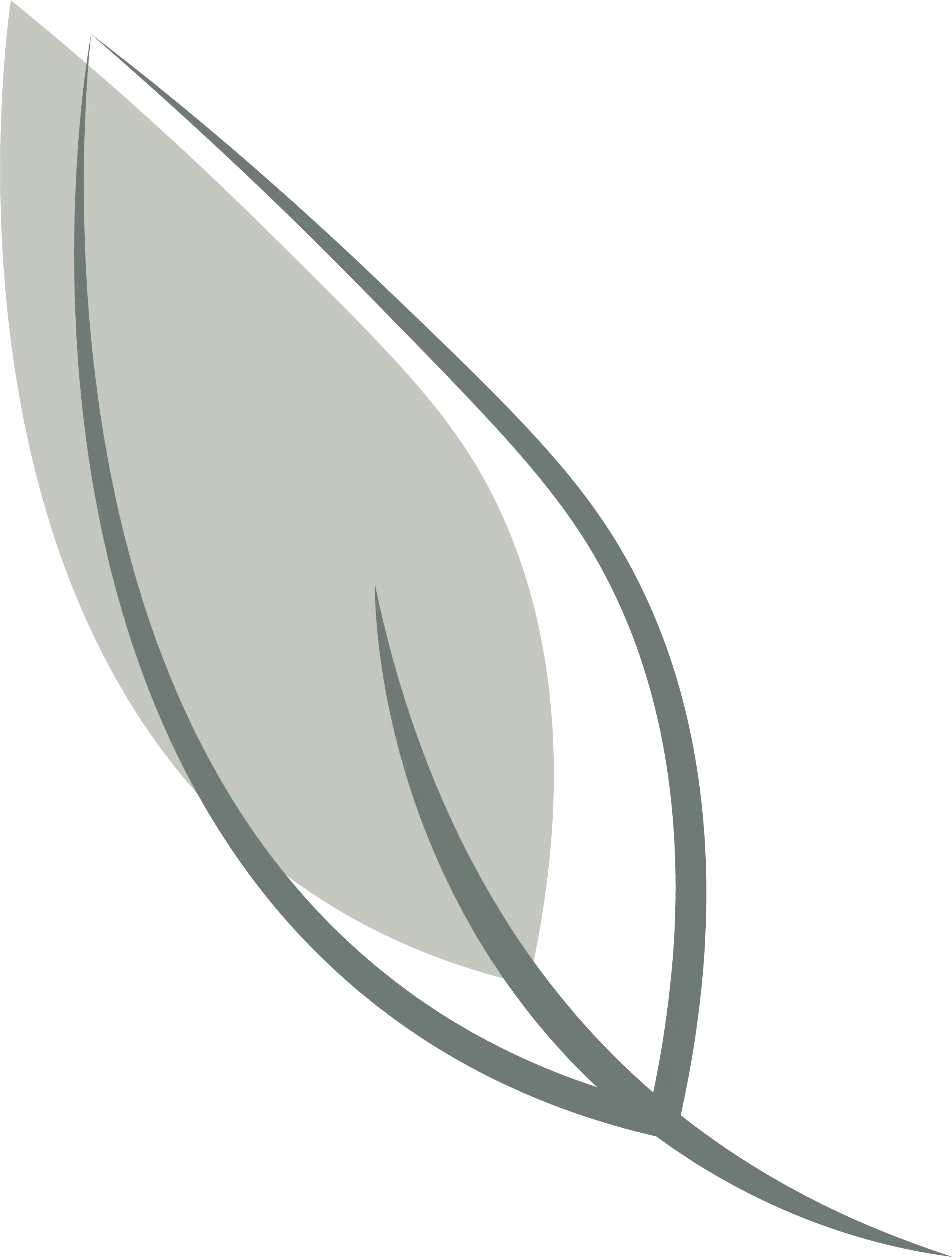 dessin feuille 6.webp