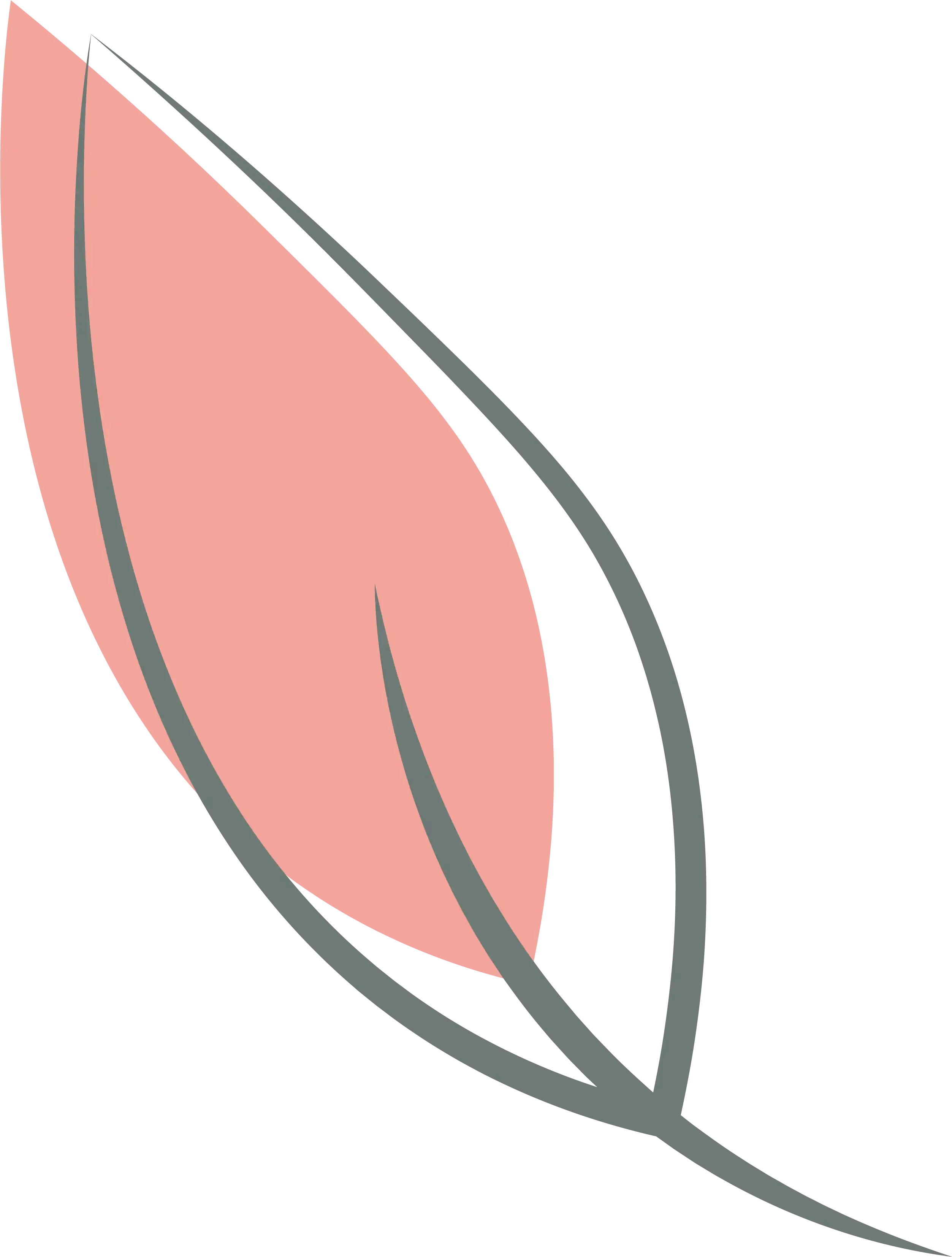 dessin feuille 9.webp