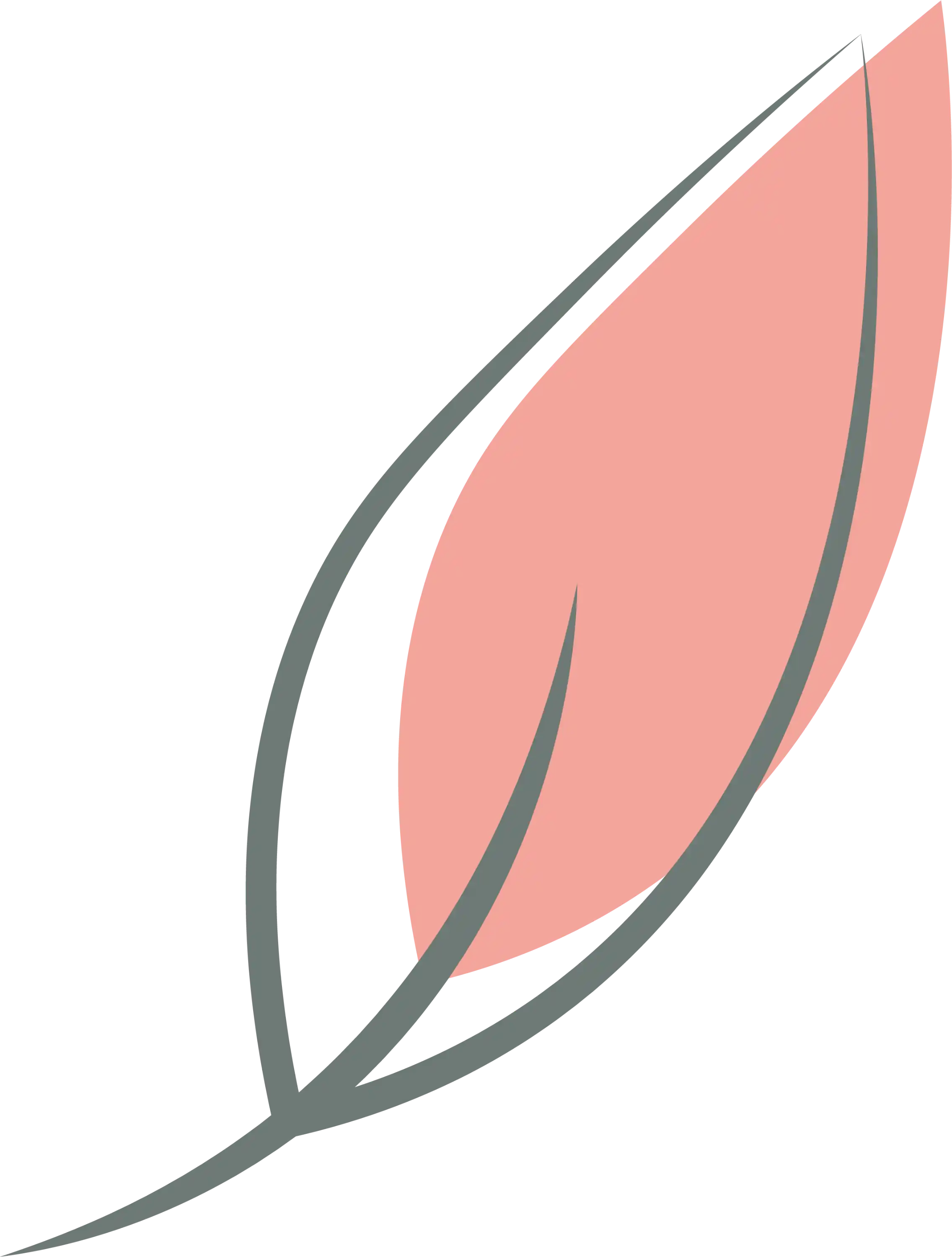 dessin feuille 3.webp