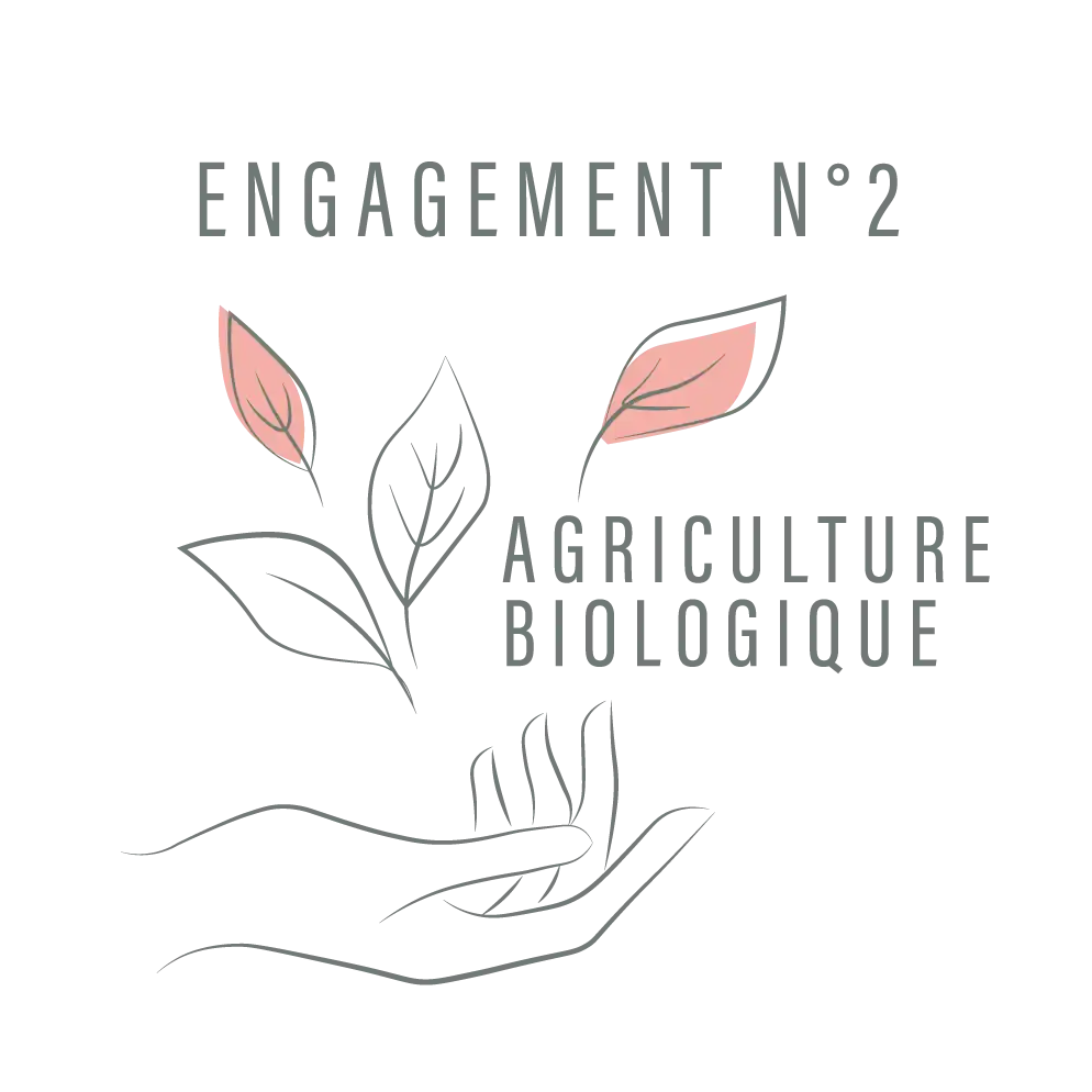 dessin agriculture-bio setsuna.webp