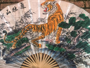 Tai Chi Chuan in Year of the Tiger