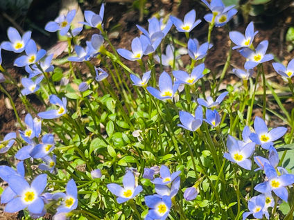 #34 カップルのためのカウンセラー