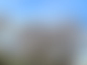 青空の下、咲き誇る桜のうしろに回る観覧車。