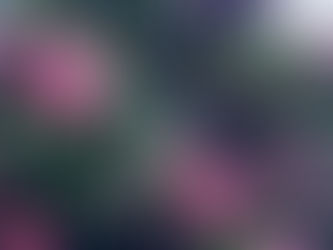 日本個人心理学会大会を終えて