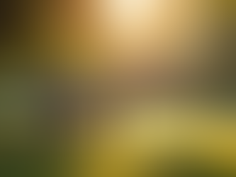 Breaking the Silence: Why Society Struggles to Discuss Grief and Mental Health