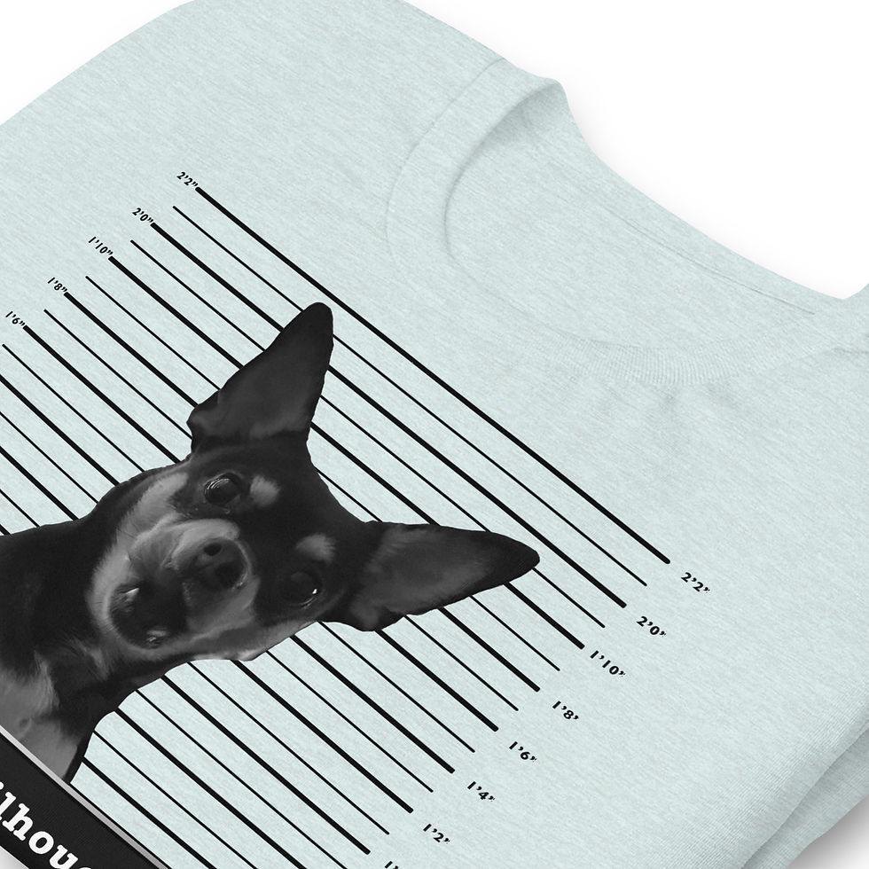 Thumbnail: Bicho Mugshot T-Shirt (light)