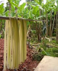 Banana Stem Drying Process