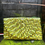 Thumbnail: Palm Leaf Clutch