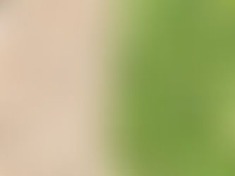 Rethinking Packaging: A Closer Look at 100% Biodegradable Pacakging Filler - Water Hyacinth Pellets