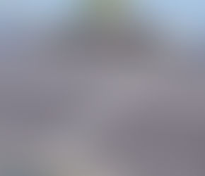 太陽光パネル洗浄ロボット