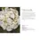 Thumbnail: Hydrangeas Beautiful Varieties For Home and Garden