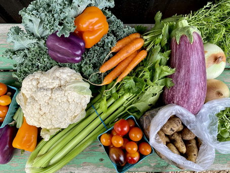 Summer CSA | Last Week