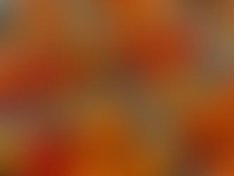 Summer CSA Week 2 | Storing your veggies