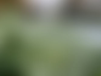 Fall CSA Week 5 | Jack Frost nipping at our heels