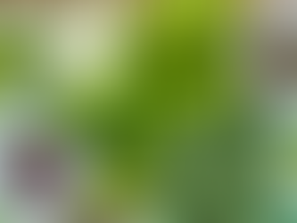 Winter CSA | Last Week