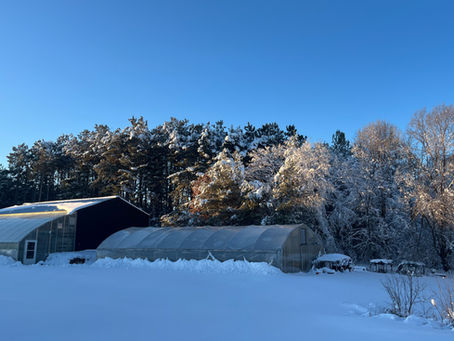 Winter CSA Week 7 | The lights are off and everyone is home