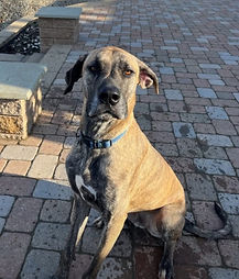 Screenshot 2025-05-15 at 8.16_edited.jpg