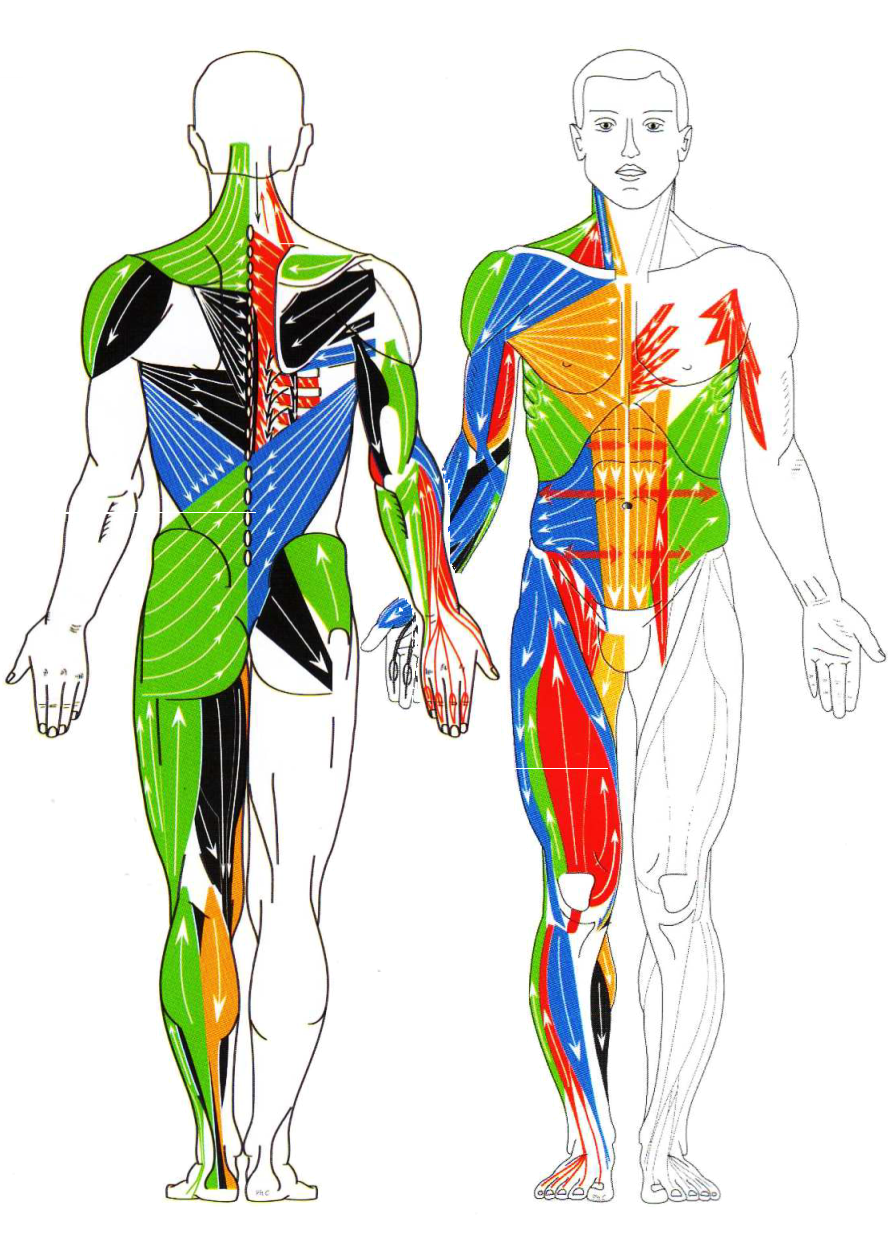 GDS_Accordages - Copie.png