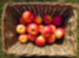 quality, ingredients, hand made, fun, tasty, flavorful, local