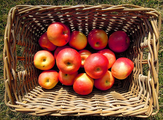 quality, ingredients, hand made, fun, tasty, flavorful, local