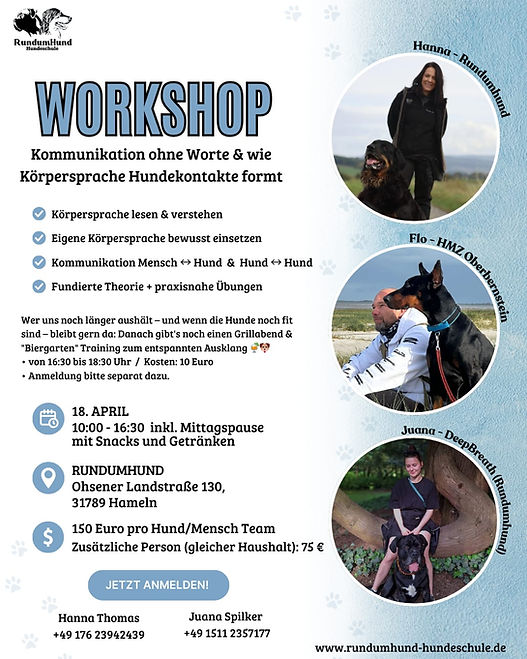 WhatsApp Image 2026-03-09 at 21.03.44.jpeg