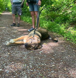 WhatsApp Image 2025-09-17 at 22.12.51.jpeg