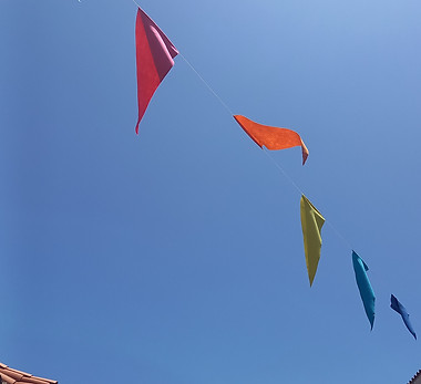 20230514_143610.jpg