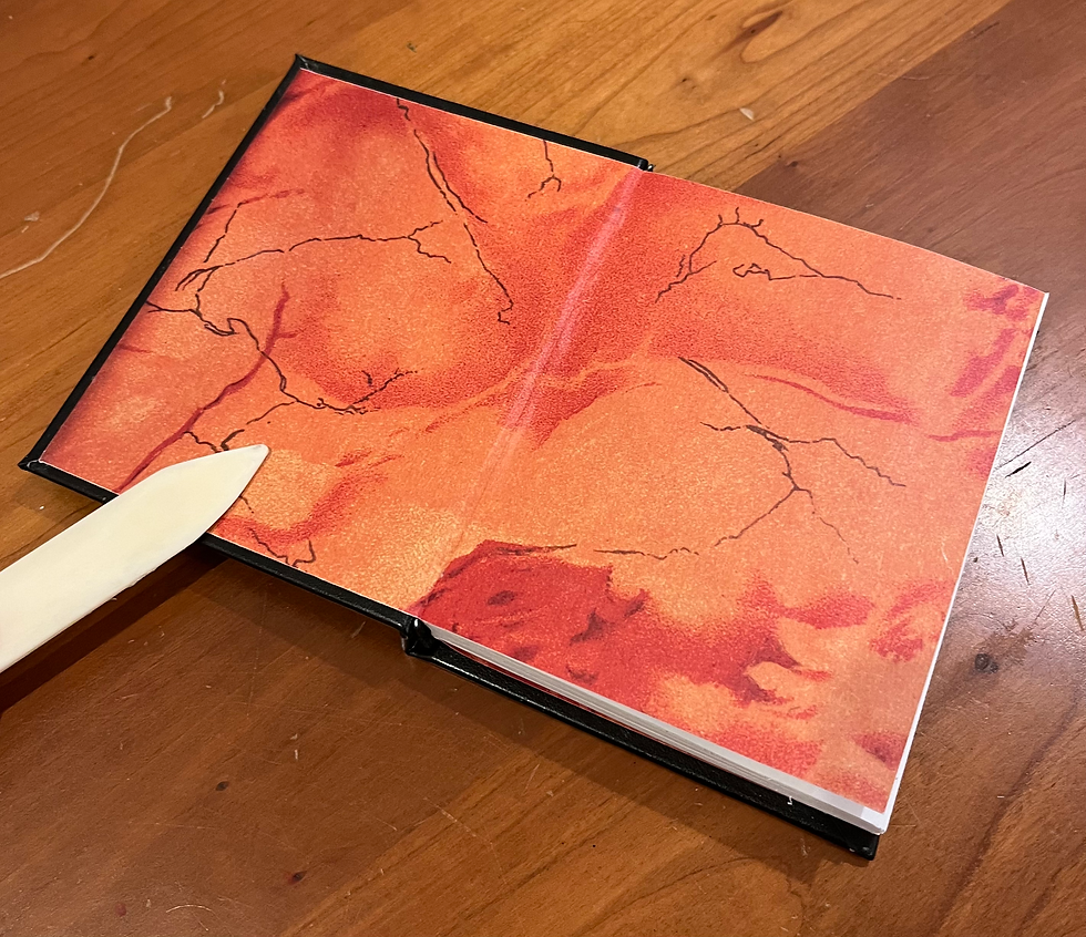 IMG_1648