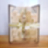 BD06E8E0-7129-448C-B2FB-29ED2E121B27.jpe