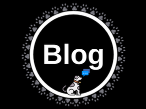 Why Blog?