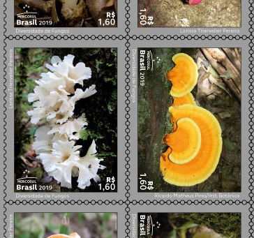 Lançamento | Série Mercosul: Diversidade de FUNGOS