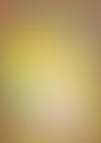 Boletim Informativo nº 229