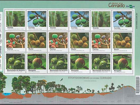 Lançamento: Frutas do Cerrado