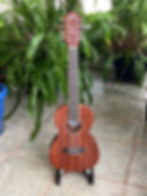 Oscar Schmidt Tenor 8 string with pickup front