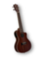 Pre-owned Lanikai Mahogany Concert side view