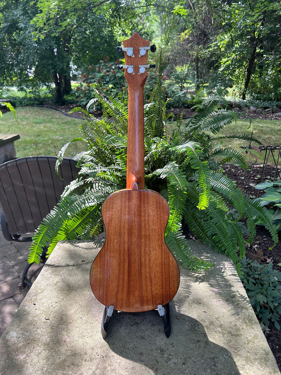 Thumbnail: Used Kumu Koa Slimline Tenor Ukulele back